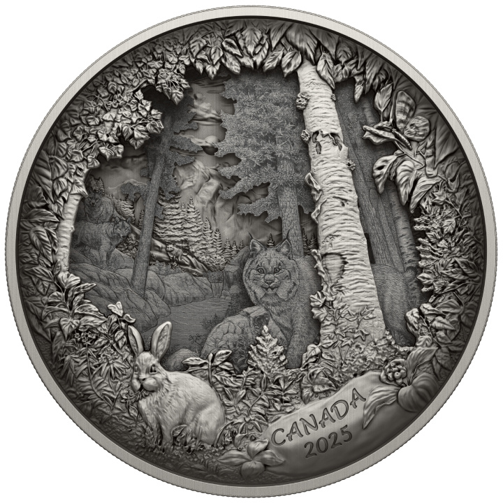 Kanada: Predator oder Prey in Shadow Box $175 2025 Silber Antique Finish Münze