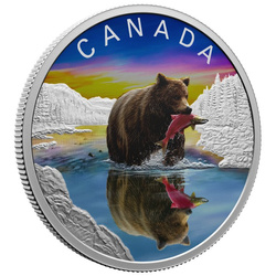 Canada : Reflets de la faune - Grizzly Bear colorée 20 Argent 2024 Proof