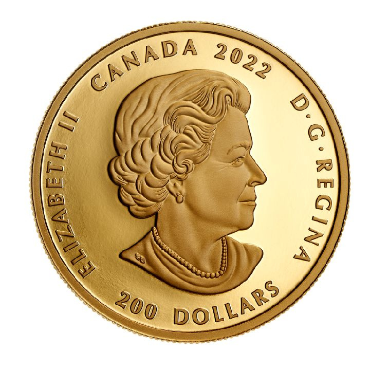 Canadá: Celebrating Canada's Diversity - Culture and Traditions 1 oz Gold Proof
