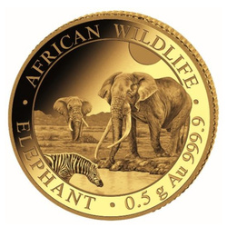 African Wildlife: Elefante somalo 0,5 g d'oro 2026