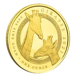 Equatorial Guinea: Giraffe 1 uncja Złota 2021 Proof