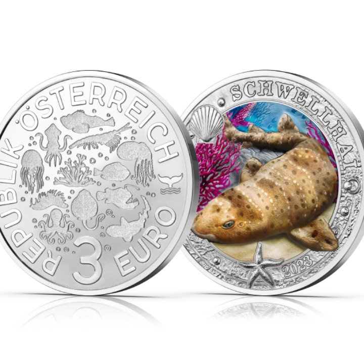 Swell Shark coloured 3 Euro Copper 2023