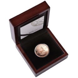 Krugerrand 1 oncia d'oro 2024 Proof