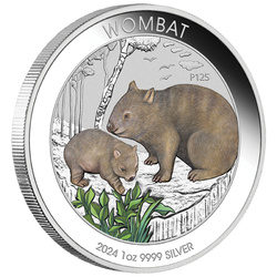 Australijski Wombat kolorowany 1 uncja Srebra 2024