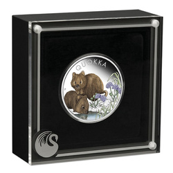 Quokka coloured 1 oz Silber 2023 Proof
