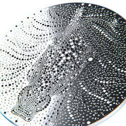 Niue: Year of the Horse 1/2 oz Silver 2026 Prooflike