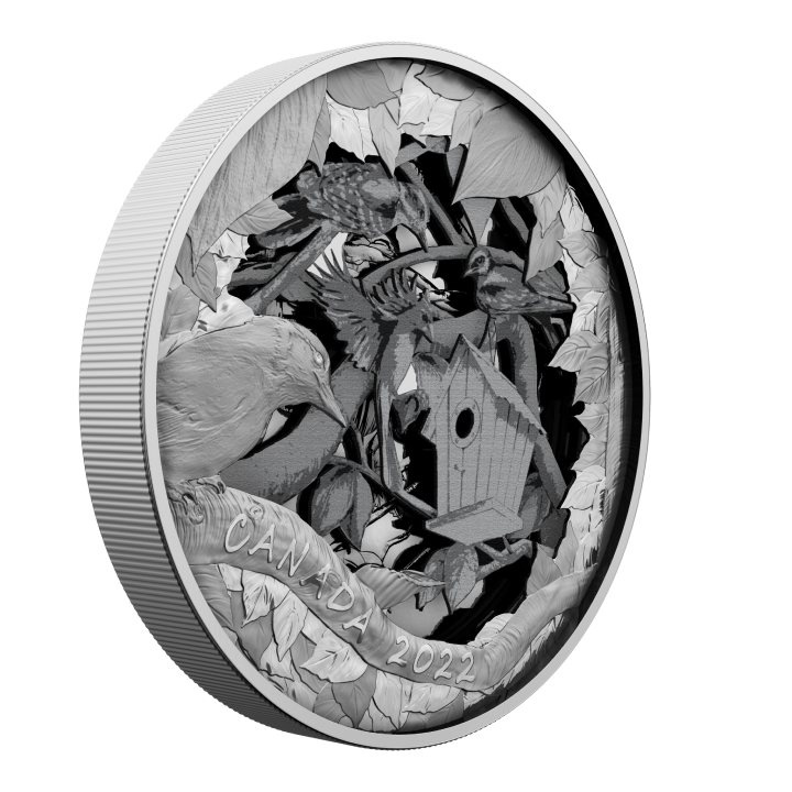 Canada: Birds In Shadow Box $175 2022 Silber Proof Coin (R&D LAB)