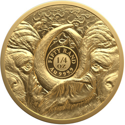 Złota Moneta Big Five III: Buffalo 1/4 uncji Złota 2026 Proof