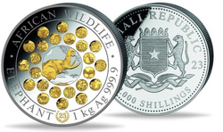 African Wildlife: Słoń Somalijski 25. rocznica pozłacany 1000 gramów Srebra 2023 Proof