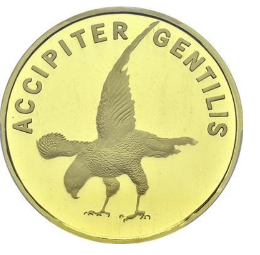 Northern goshawk 31 g Gold 2015