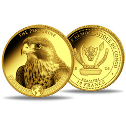 Congo: World‘s Wildlife - Peregrine Falcon 0,5 gram Gold 2024 Proof