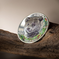 Mongolia: Woodland Spirits - Bear coloured 1 oz Silber 2024 Proof