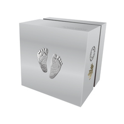 Canadá: Bienvenido al mundo 10 dólares de plata 2026, prueba inversa