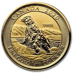 Canadian Polar Bear 1/10 oz Gold 2020