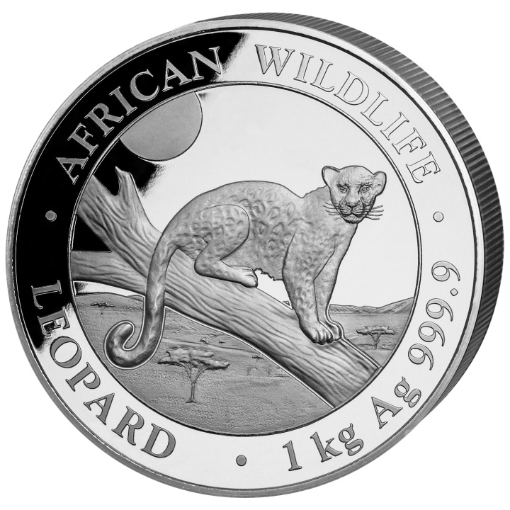 African Wildlife: Leopard 1000 g d'argento 2021