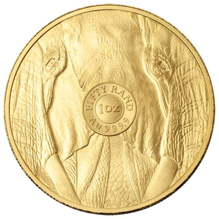 Big Five: Elefante 1 oncia d'oro 2025