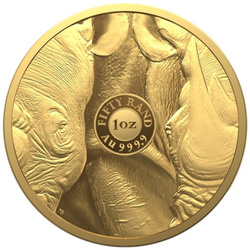 Big Five II: Rhino 1 oz Gold 2022 Proof