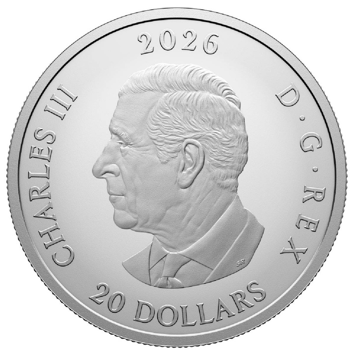 Kanada Remembrance Day koloriert 1 oz Silber 2026 Proof