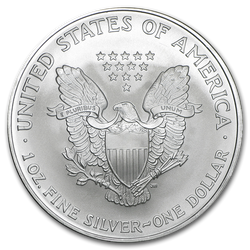 American Eagle 1 oz Silver 2007