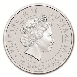 Koala 1000 gramů stříbra 2018