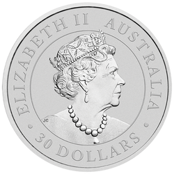 Koala 1000 gram Silver 2021