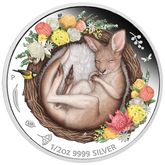 Dreaming Down Under: Sleeping Kangaroo színes 1/2 oz ezüst 2021 Proof