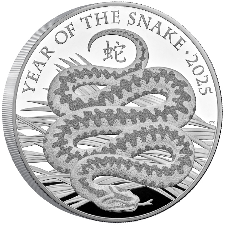 Royal Mint Lunar: Year of the Dragon 1000 grams Silber 2025 Proof