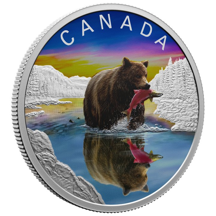 Canada: Wildlife Reflections - Grizzly Bear coloured $20 Silver 2024 Proof Coin