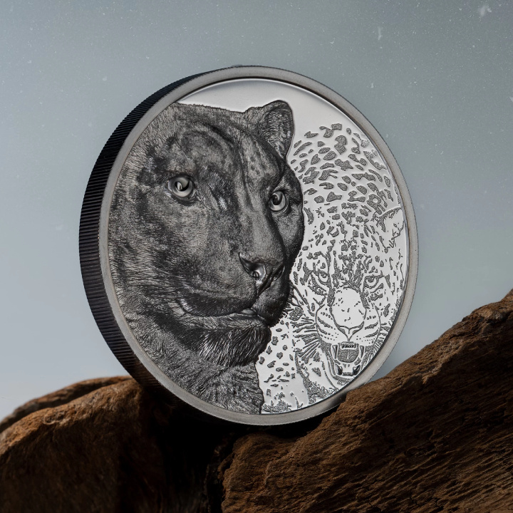 Mongolia: Leopardo delle nevi 2 once d'argento 2024 Black Proof