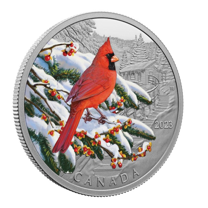 Canada: Colourful Birds - Northern Cardinal kolorowany $20 Srebro 2023 Proof
