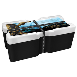 Niue : Disney Pirates des Caraïbes - Black Pearl 1 once d'argent 2021