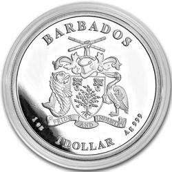 Barbados: Pellicano caraibico 1 oncia d'argento 2023