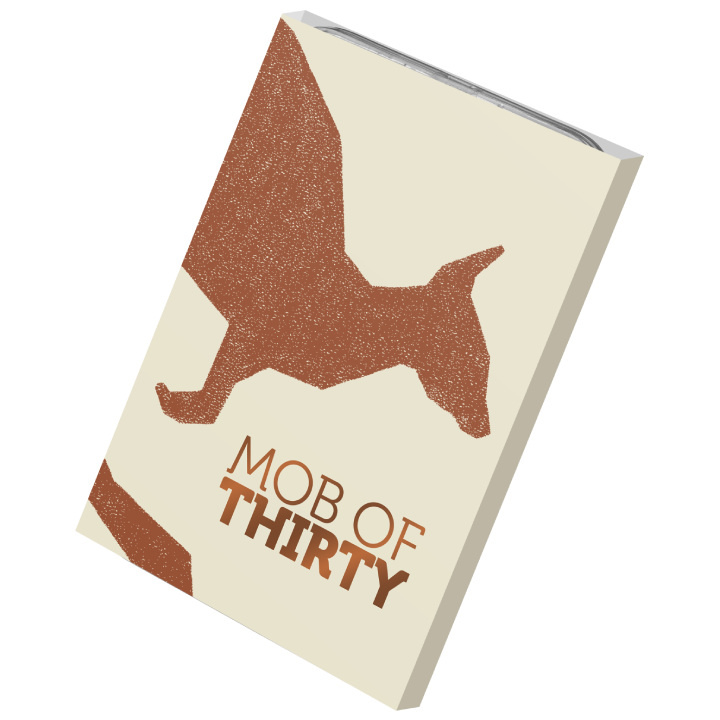 RAM : Kangaroo Series 30th Anniversary – Mob of Thirty 1 oz Silver 2023 Frosted Coin "C" Mintmark