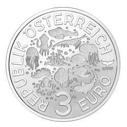 Swell Shark kolorowany 3 Euro Miedź 2023