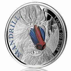 Cameroon: Mandrill coloured 1 oz Silber 2020 Proof