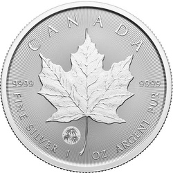 Canadian Maple Leaf Treasured 1 oz Plata 2024 Felicitaciones Privy Mark (First Strikes)