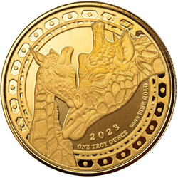 Equatorial Guinea: Giraffe 1 uncja Złota 2023 Proof