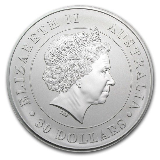 Koala 1000 grammes d'argent 2013