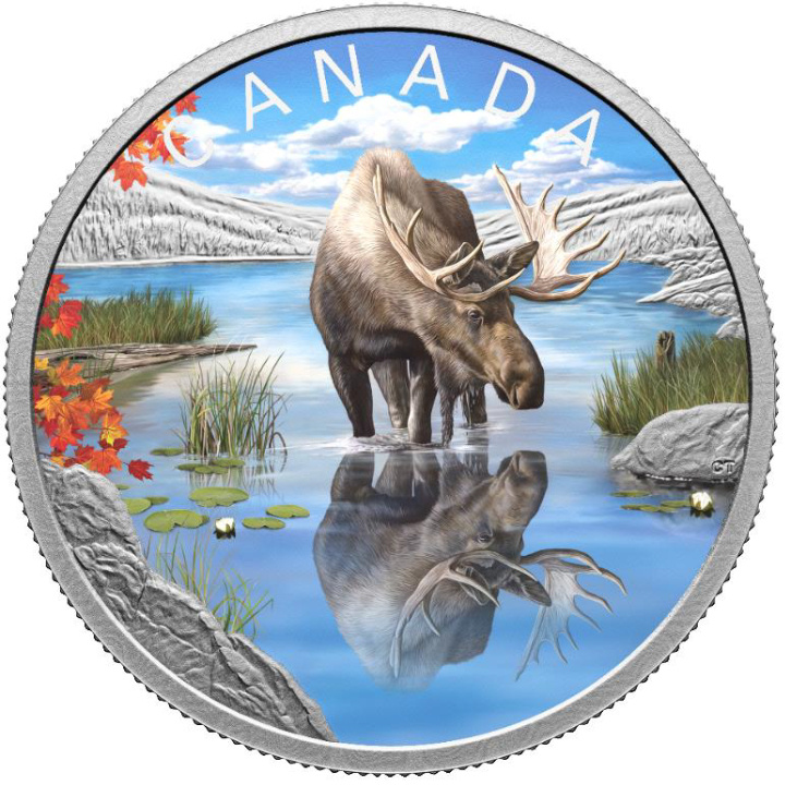 Canada: Wildlife Reflections - Moose coloured $20 Silber 2024 Proof Coin