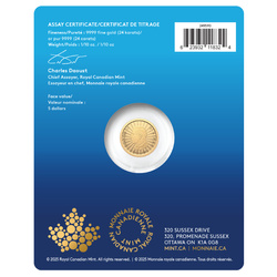 Canada : The Majestic Polar Bear 1/10 once d'or 2025