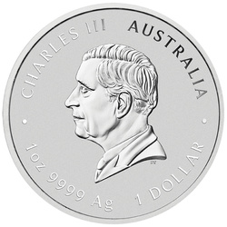 Perth Mint: Lunar III - Rok Konia pozłacany 1 uncja Srebra 2026 (w etui)