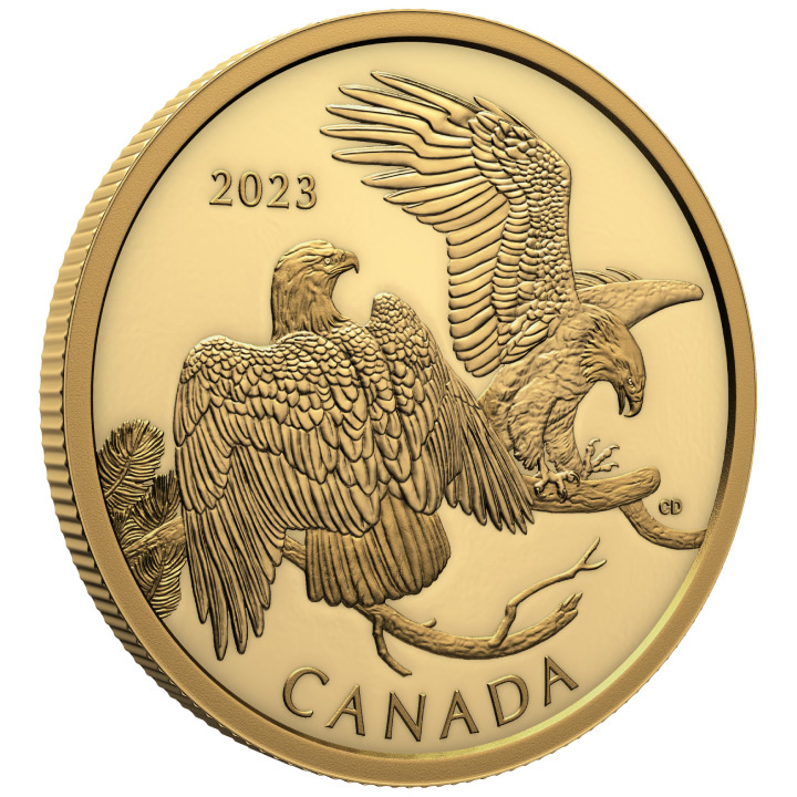 Canada: The Striking Bald Eagle $200 Złoto 2023 Proof