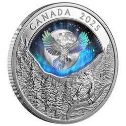 Kanada: Mondhimmel Rabe koloriert $20 Silber 2025 Proof Hologram