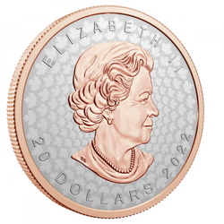 Maple Leaf Super Incuse 1 unce stříbra 2022 Proof