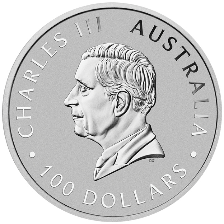 Australisches Känguru 1 oz Platin 2024