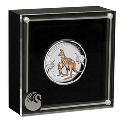 Kangourou australien 1 once d'argent 2020 Proof Coloré Haut relief