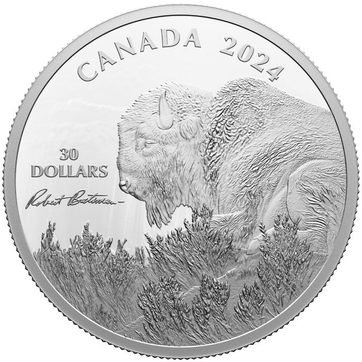 Canada : Weather Watch - Bison 30 Argent 2024 Proof