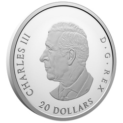Moneta d’Argento 150th Anniversary of the Library of Parliament colorata 1 oncia d’Argento 2026 Proof