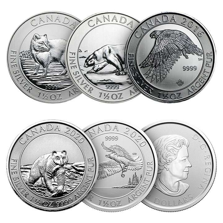 Royal Canadian Mint - Losowa Moneta 1.5 uncji Srebra
