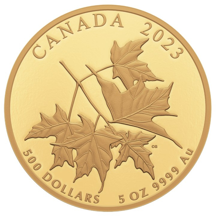 Canada : Feuille d'érable bien-aimée 5 onces d'or 2023 Proof